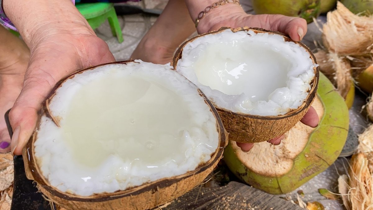Dừa sáp được trồng phổ biến ở đâu? Và giá trị của trái dừa sáp