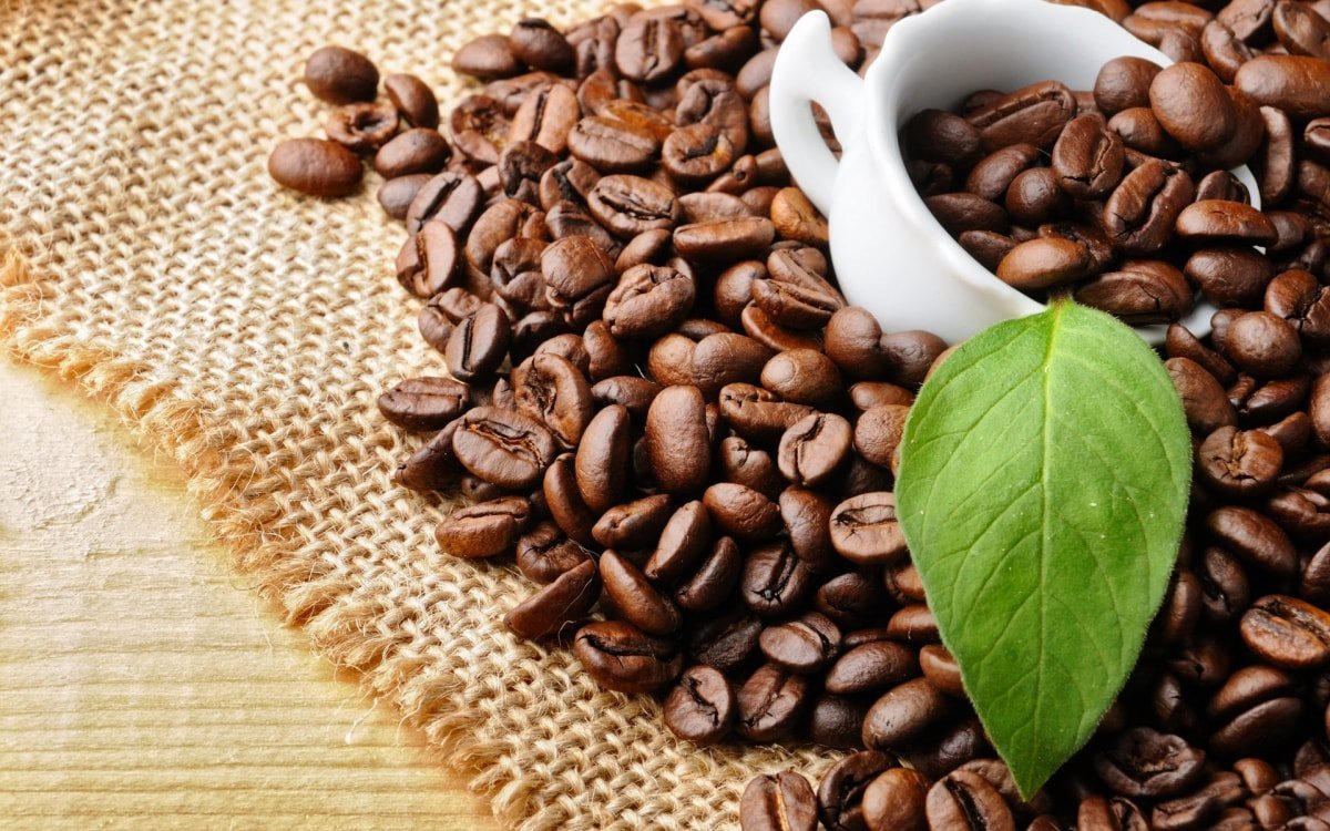 Các loại cà phê được trồng ở Việt Nam